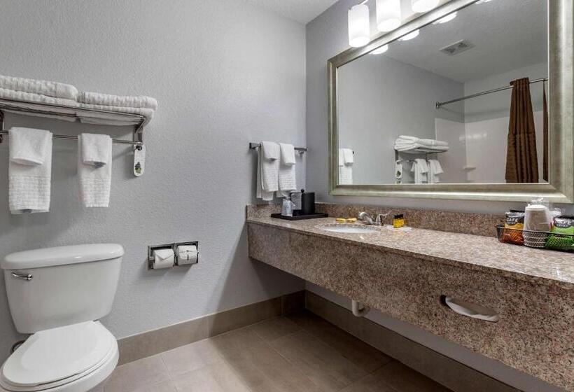 Стандартный Номер Кровать Кинг, Best Western Plus Orange County