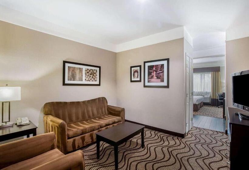 اتاق استاندارد با تخت بزرگ برای معلولان, La Quinta By Wyndham Pasadena