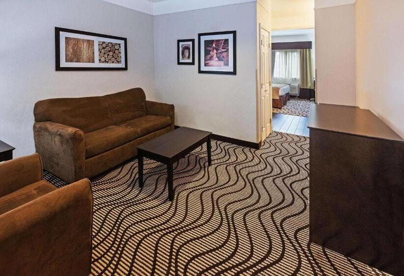 适合残疾人士使用的带超级大床的标准间, La Quinta By Wyndham Pasadena