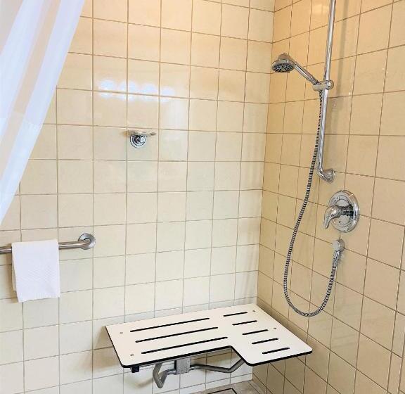 غرفة قياسية سرير كينج, Quality Inn & Suites Sequim At Olympic National Park