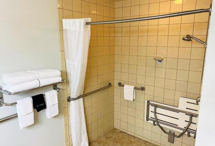 스탠다드 룸 킹사이즈 침대, Quality Inn & Suites Sequim At Olympic National Park