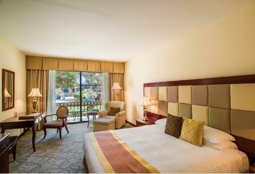 Семейный Номер, Grand Hotel Excelsior