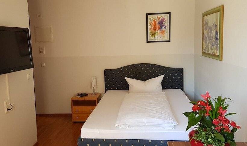 اتاق لوکس یک تخته, Central Hotel Apart München