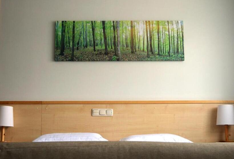 اتاق کلاس بیزنس, Green Park Hotel Klaipeda
