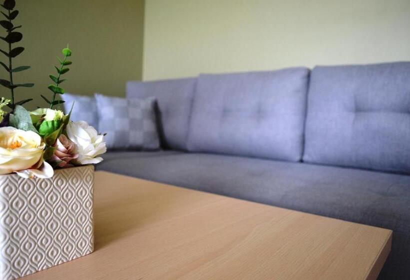 اتاق کلاس بیزنس, Green Park Hotel Klaipeda
