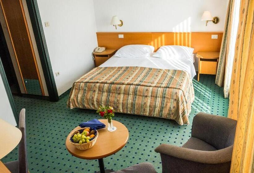 غرفة قياسية مزوَّدة بشُرفة, Vile Park