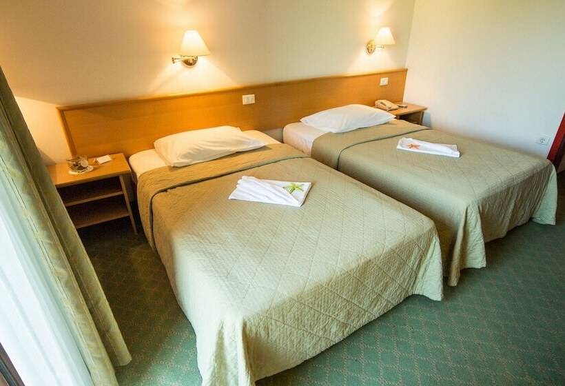 غرفة قياسية فردية مزودة بشُرفة, Vile Park