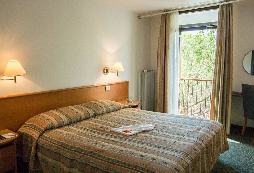 غرفة قياسية فردية مزودة بشُرفة, Vile Park