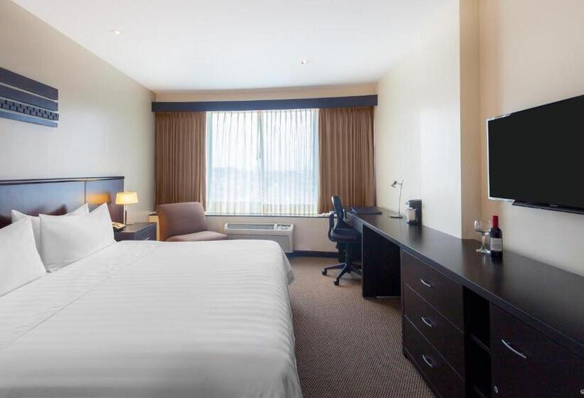 스탠다드 룸 킹사이즈 침대, Wyndham Garden Guayaquil