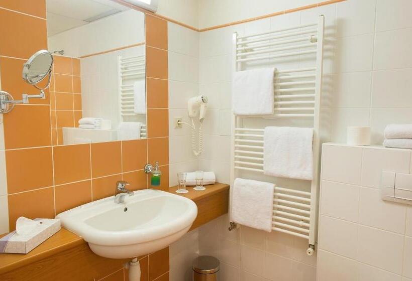 اتاق استاندارد, Grand Litava Beroun
