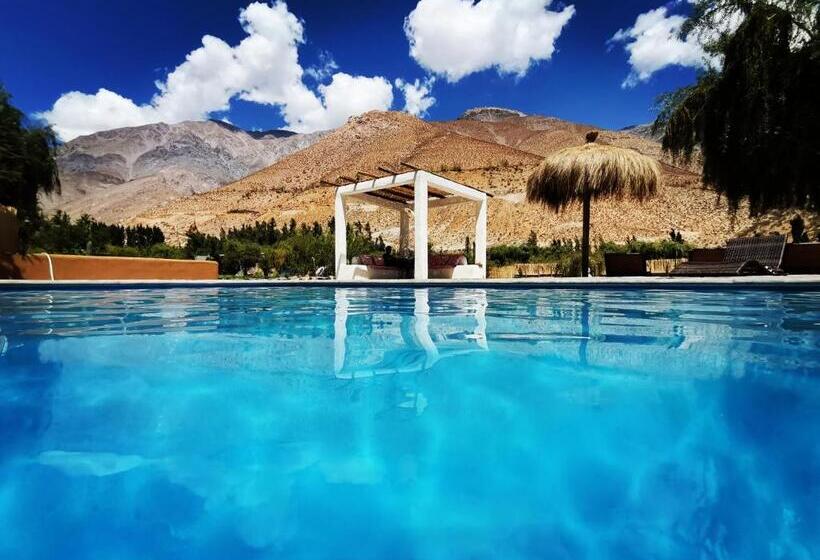 Стандартный Номер Кровать Кинг, Reset Elqui
