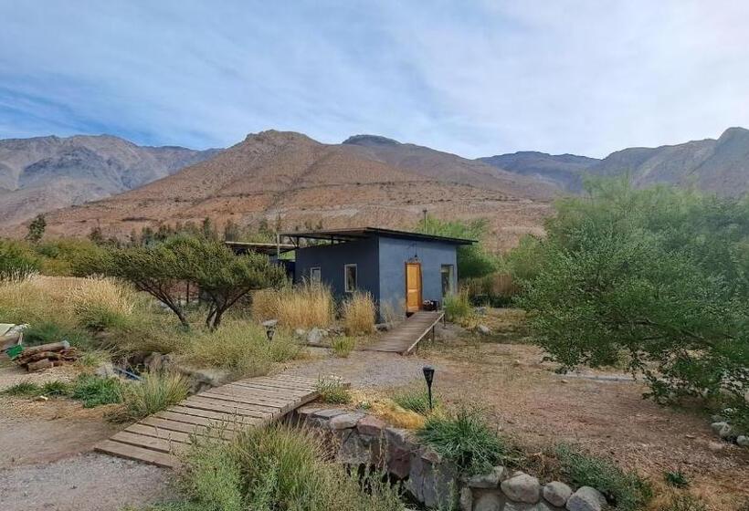 Семейное Бунгало, Reset Elqui
