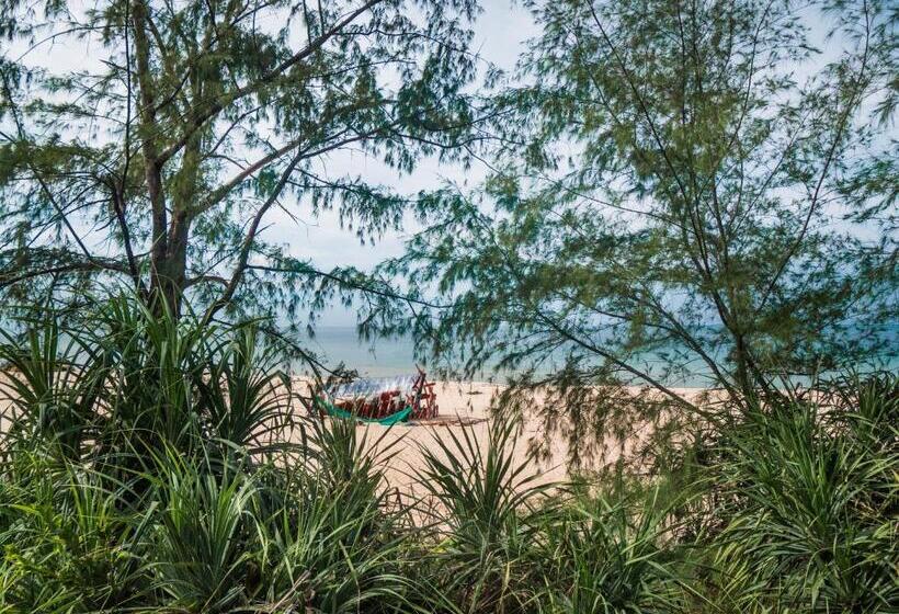 تختخواب در اتاق مشترک, Kactus Eco Resort & Wellness On Kohtakiev Island
