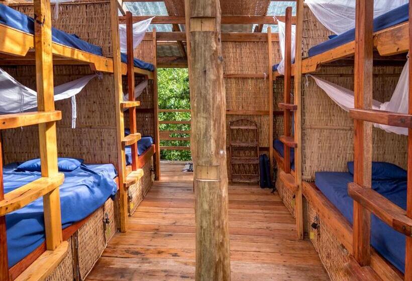 تختخواب در اتاق مشترک, Kactus Eco Resort & Wellness On Kohtakiev Island