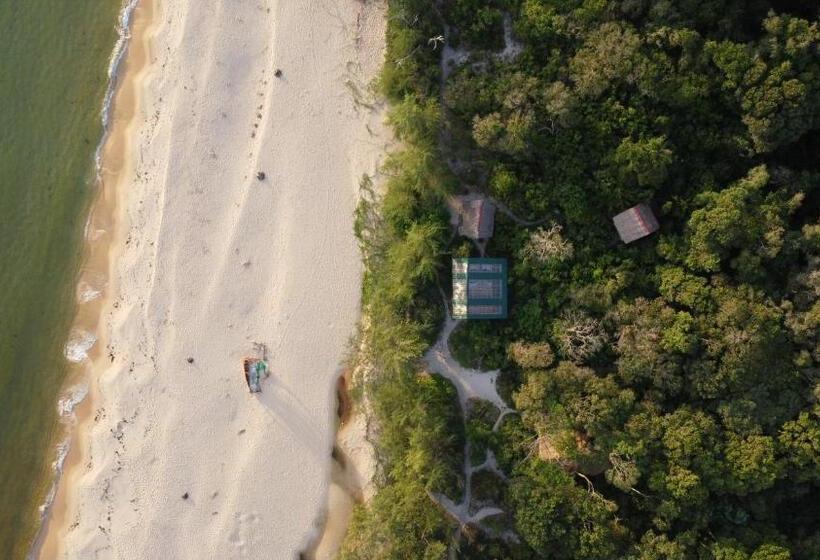 تختخواب در اتاق مشترک, Kactus Eco Resort & Wellness On Kohtakiev Island