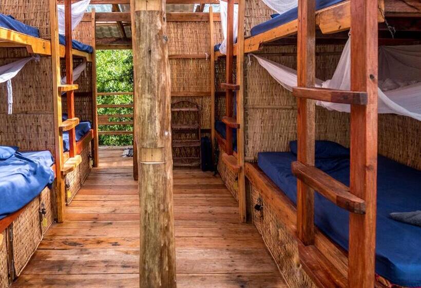 تختخواب در اتاق مشترک, Kactus Eco Resort & Wellness On Kohtakiev Island