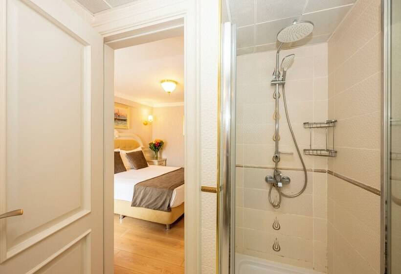 اتاق استاندارد, Arden City Hotel Special Category