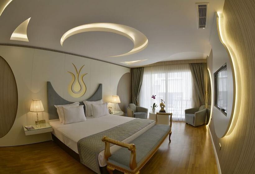 سوییت, Arden City Hotel Special Category