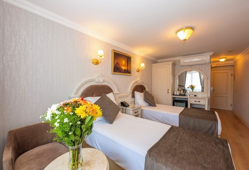 اتاق استاندارد, Arden City Hotel Special Category