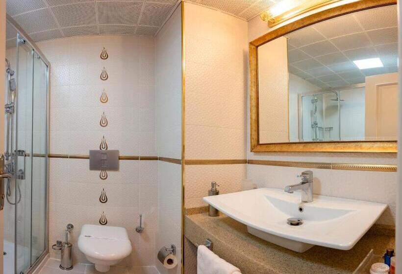 اتاق استاندارد, Arden City Hotel Special Category