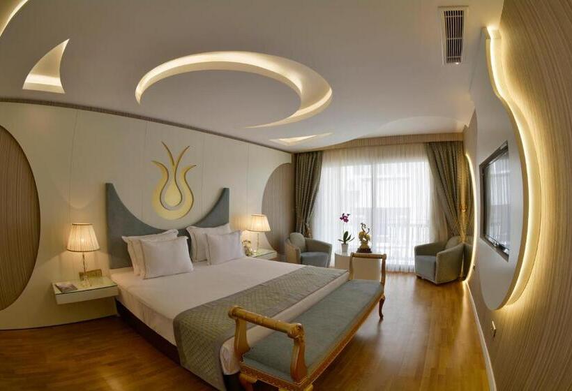 سوییت, Arden City Hotel Special Category