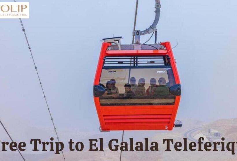 اتاق استاندارد با چشم‌انداز دریا, Tolip Resort El Galala Hills