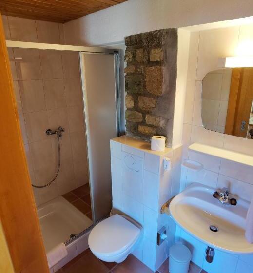 Семейный Номер, Auberge La Tzoumaz