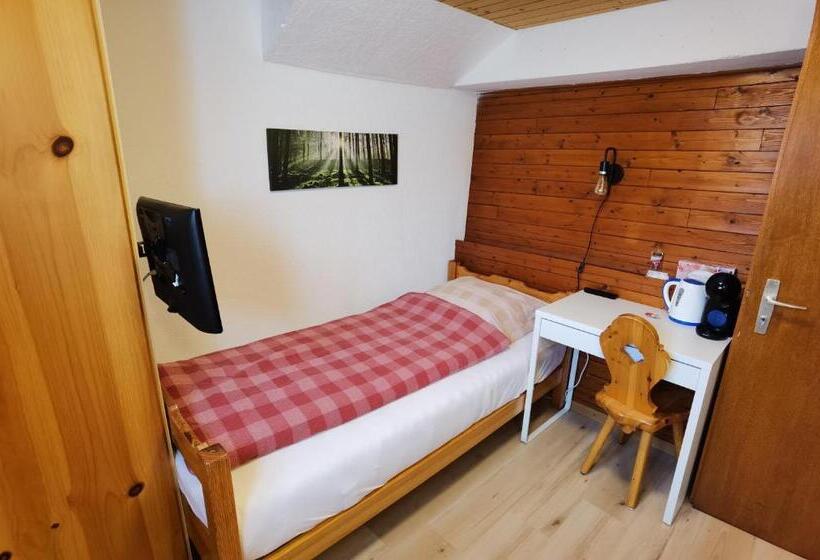 Одноместный Номер Basic, Auberge La Tzoumaz