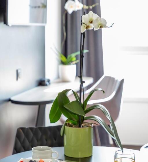 Номер Стандарт, Nemea Appart Hotel Europe Velizy Villacoublay