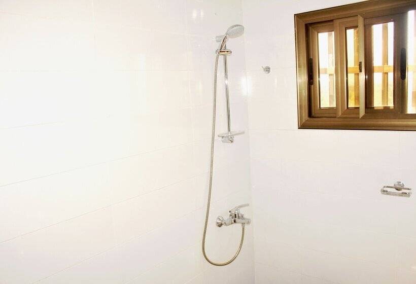 اتاق اکونومی, Ganiela