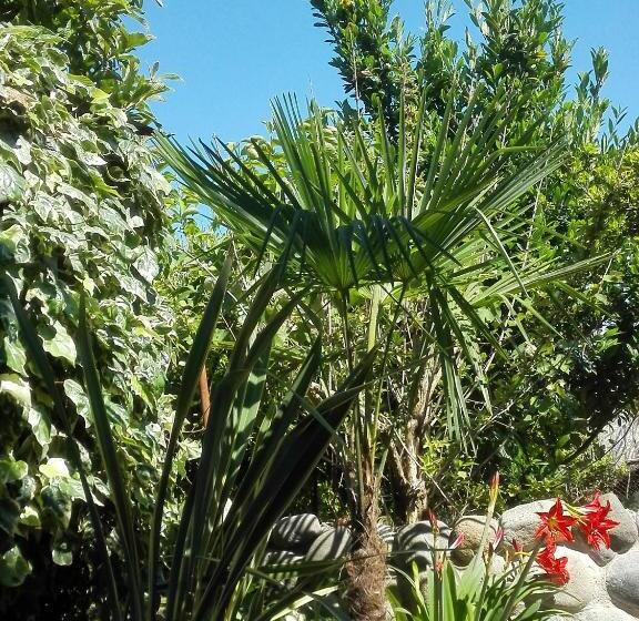 اتاق استاندارد سه نفره, Guest House Imeda
