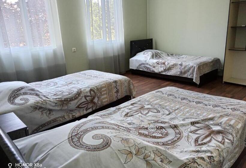 اتاق استاندارد سه نفره, Guest House Imeda