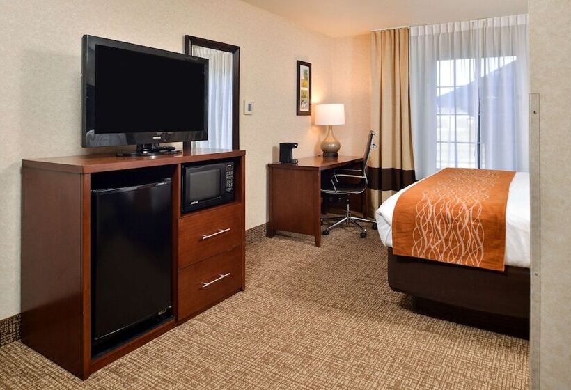 Suíte para Deficientes Físicos, Comfort Inn & Suites Madison North