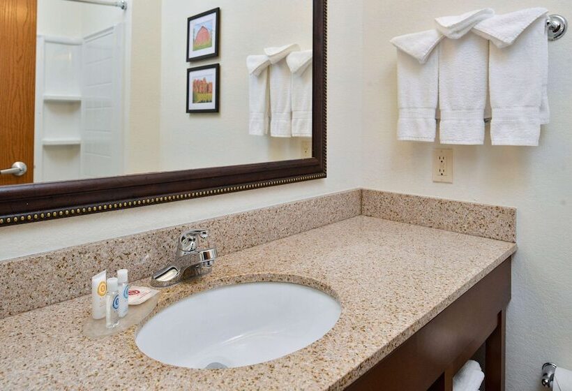 Suíte para Deficientes Físicos, Comfort Inn & Suites Madison North