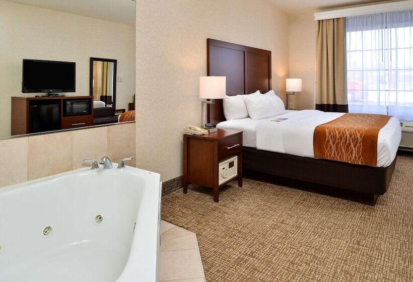 Suíte para Deficientes Físicos, Comfort Inn & Suites Madison North