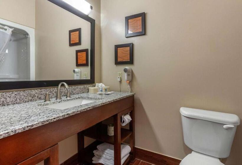 Люкс Адаптированный для Инвалидов, Comfort Suites