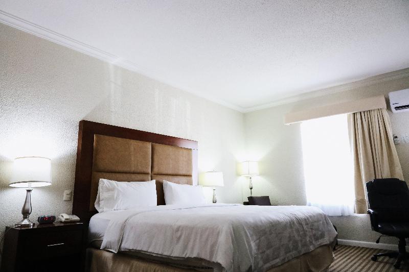 Chambre Standard Lit King Size, Holiday Inn Durango, An Ihg
