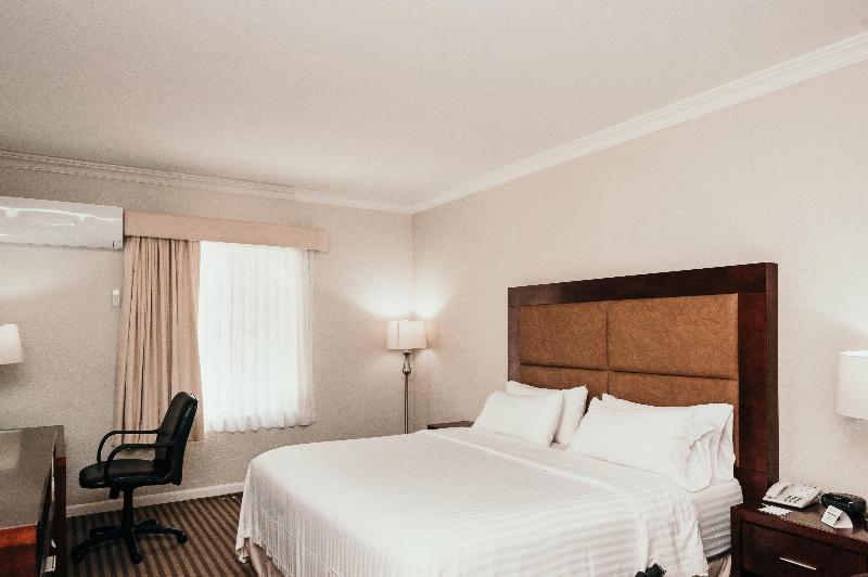 Chambre Standard Lit King Size, Holiday Inn Durango, An Ihg