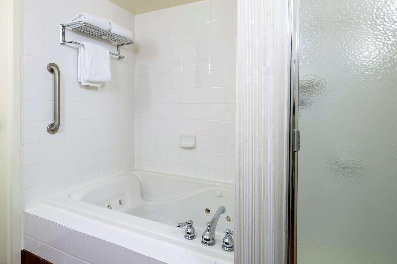 프리미엄 룸, Hilton Garden Inn Edison/raritan Center