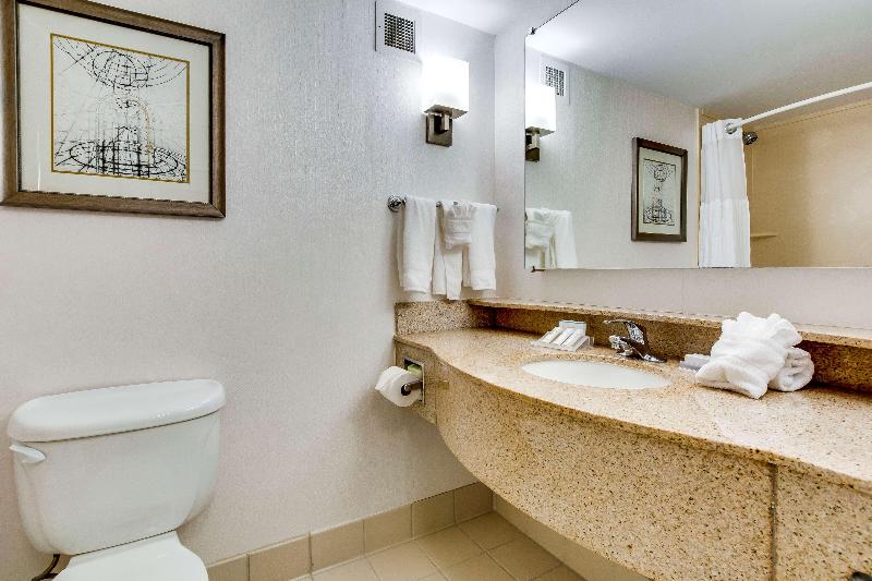 اتاق استاندارد با تخت بزرگ, Hilton Garden Inn Louisville Airport