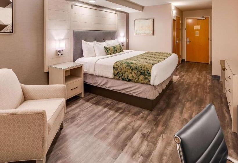 Номер Стандарт Кровать Кинг Адаптированный для Инвалидов, Best Western Premier I95 Savannah Airport/ Pooler West