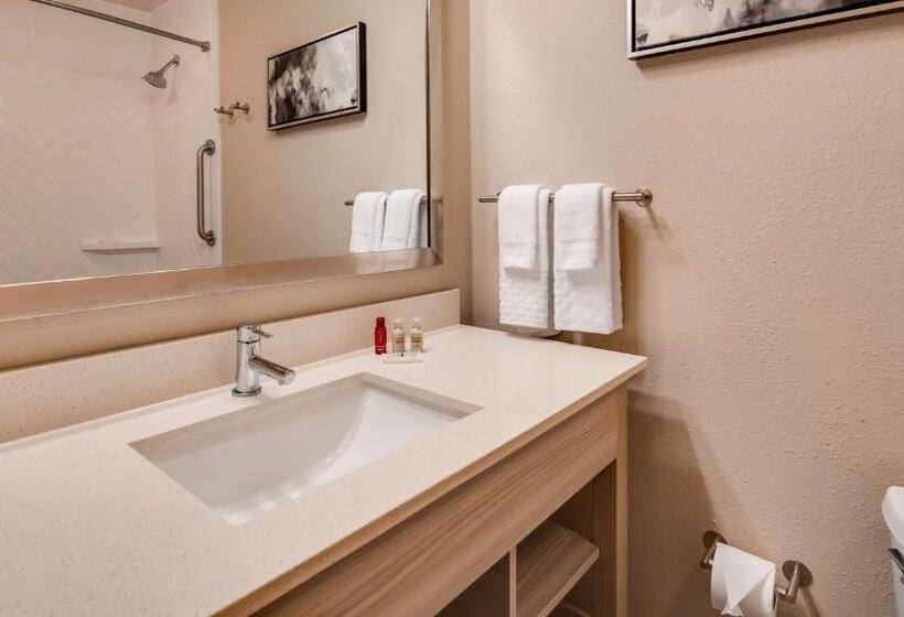 Люкс, Best Western Premier I95 Savannah Airport/ Pooler West