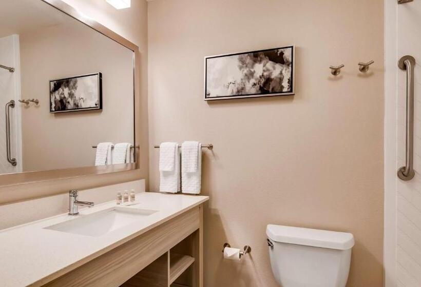 Стандартный Номер Кровать Кинг, Best Western Premier I95 Savannah Airport/ Pooler West