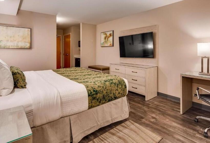 Номер Стандарт Кровать Кинг Адаптированный для Инвалидов, Best Western Premier I95 Savannah Airport/ Pooler West