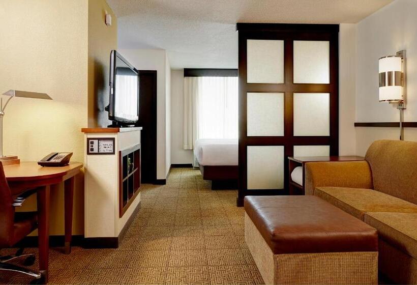 Стандартный Номер Кровать Кинг, Hyatt Place Detroit/utica