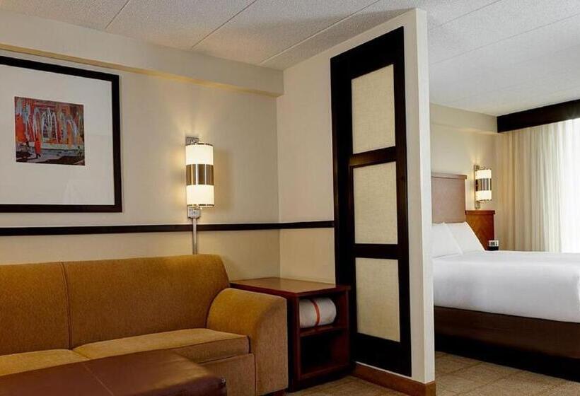 Стандартный Номер Кровать Кинг, Hyatt Place Detroit/utica