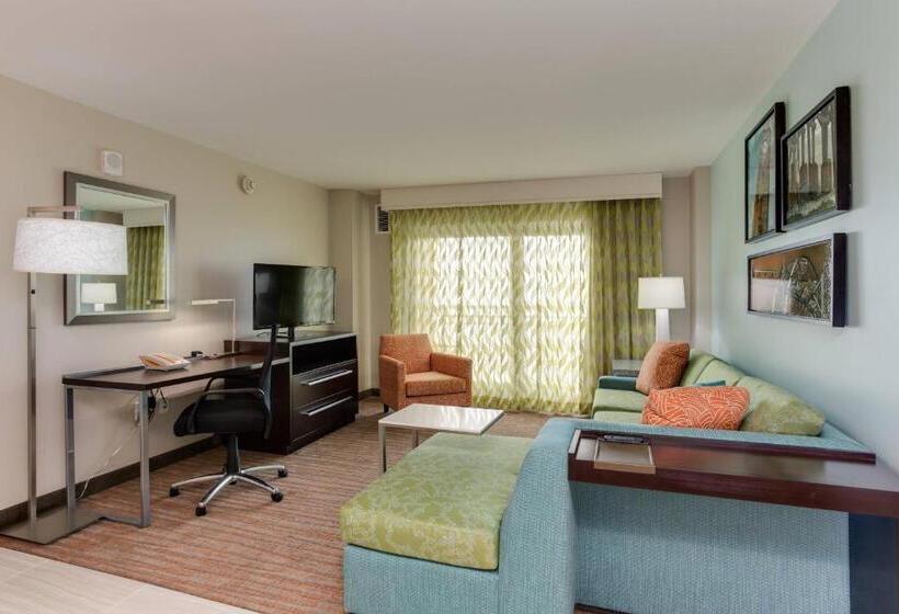 带大床的套房, Residence Inn By Marriott Daytona Beach Oceanfront