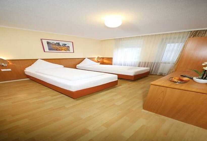 Номер Стандарт Трехместный, Europa Offenbach