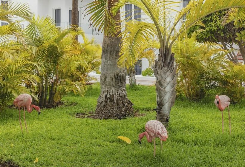 Студия Стандарт, Flamingo Beach Mate
