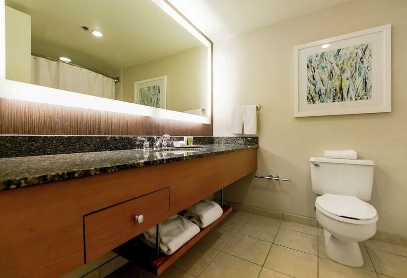 Полулюкс Кровать Кинг, Hilton Salt Lake City Center
